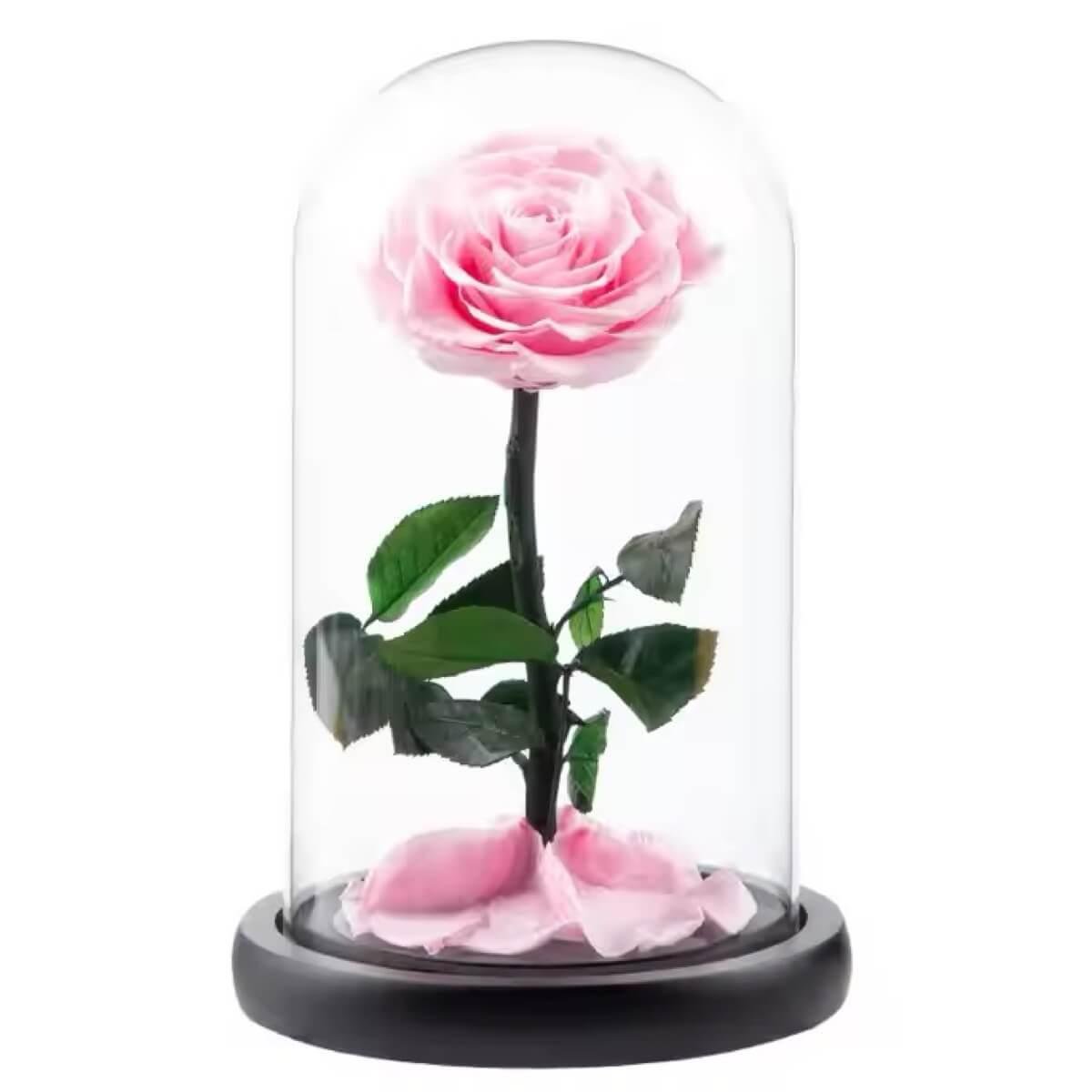 Trandafir Criogenat Bella Roz In Cupola De Sticla Cu Mesaj Personalizat 10x20cm - Trandafir - Criogenat.ro