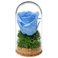 Trandafir criogenat bleu în mini cupolă de sticlă 5 × 9,5 cm - Trandafir-Criogenat.ro