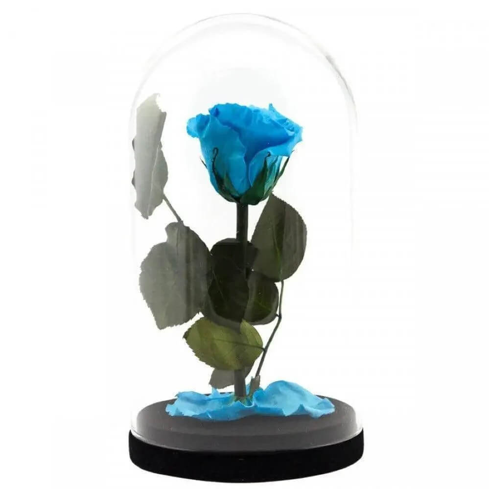 Trandafir Criogenat Bleu XL În Cupolă De Sticlă 6,5 Cm Cadou Etern 12x25 - Trandafir - Criogenat.ro