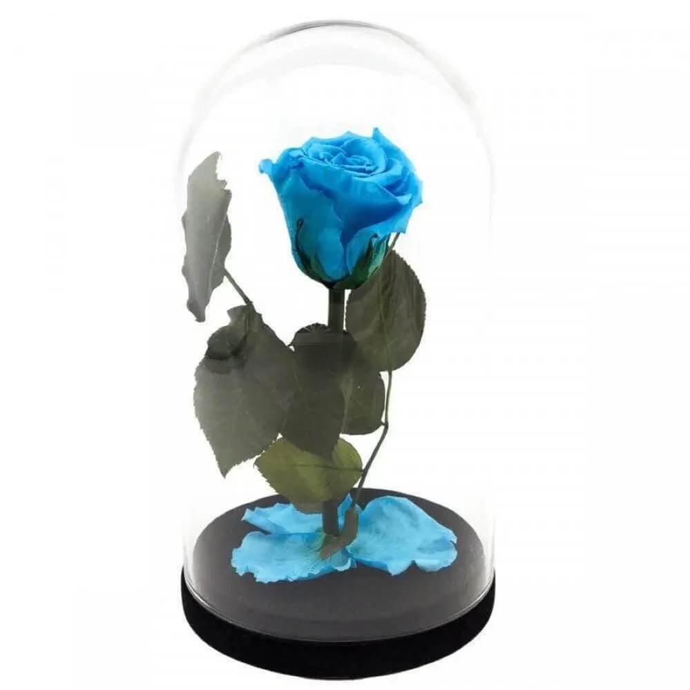 Trandafir Criogenat Bleu XL În Cupolă De Sticlă 6,5 Cm Cadou Etern 12x25 - Trandafir - Criogenat.ro