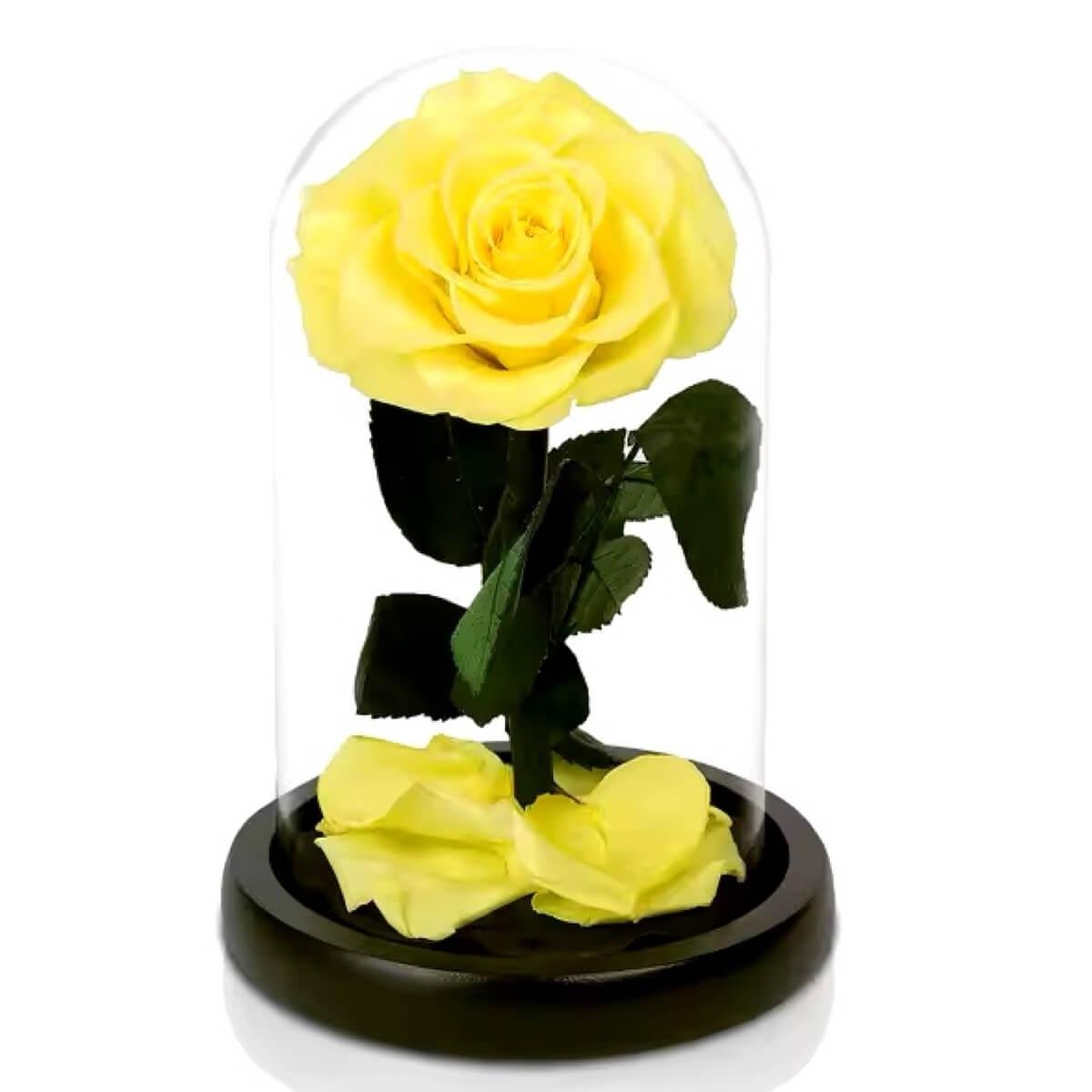 Trandafir Criogenat Bonita Galben Cupolă Elegantă Cadou cu Mesaj Personalizat - Trandafir - Criogenat.ro