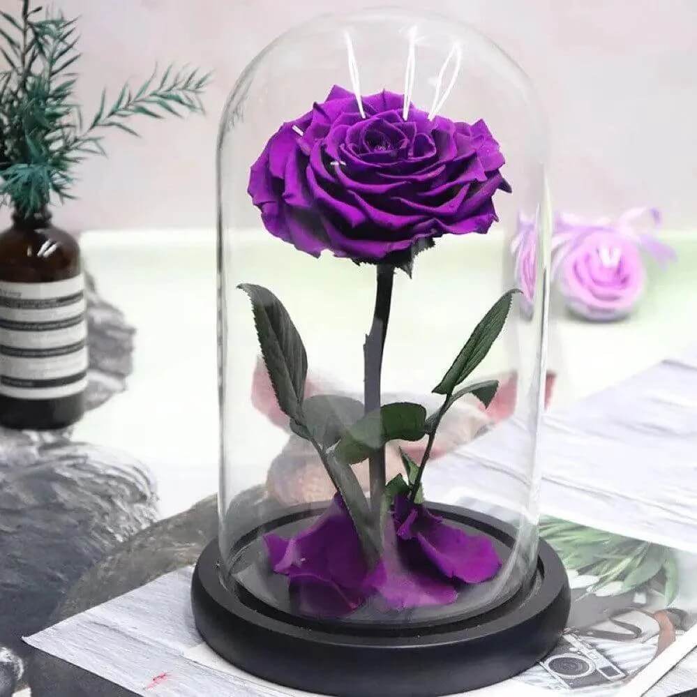 Trandafir Criogenat Bonita Purpuriu Diametru 9,5 cm în Cupolă Elegantă 15x25 cm - Trandafir - Criogenat.ro