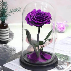 Trandafir Criogenat Bonita Purpuriu Diametru 9,5 cm în Cupolă Elegantă 15x25 cm - Trandafir - Criogenat.ro