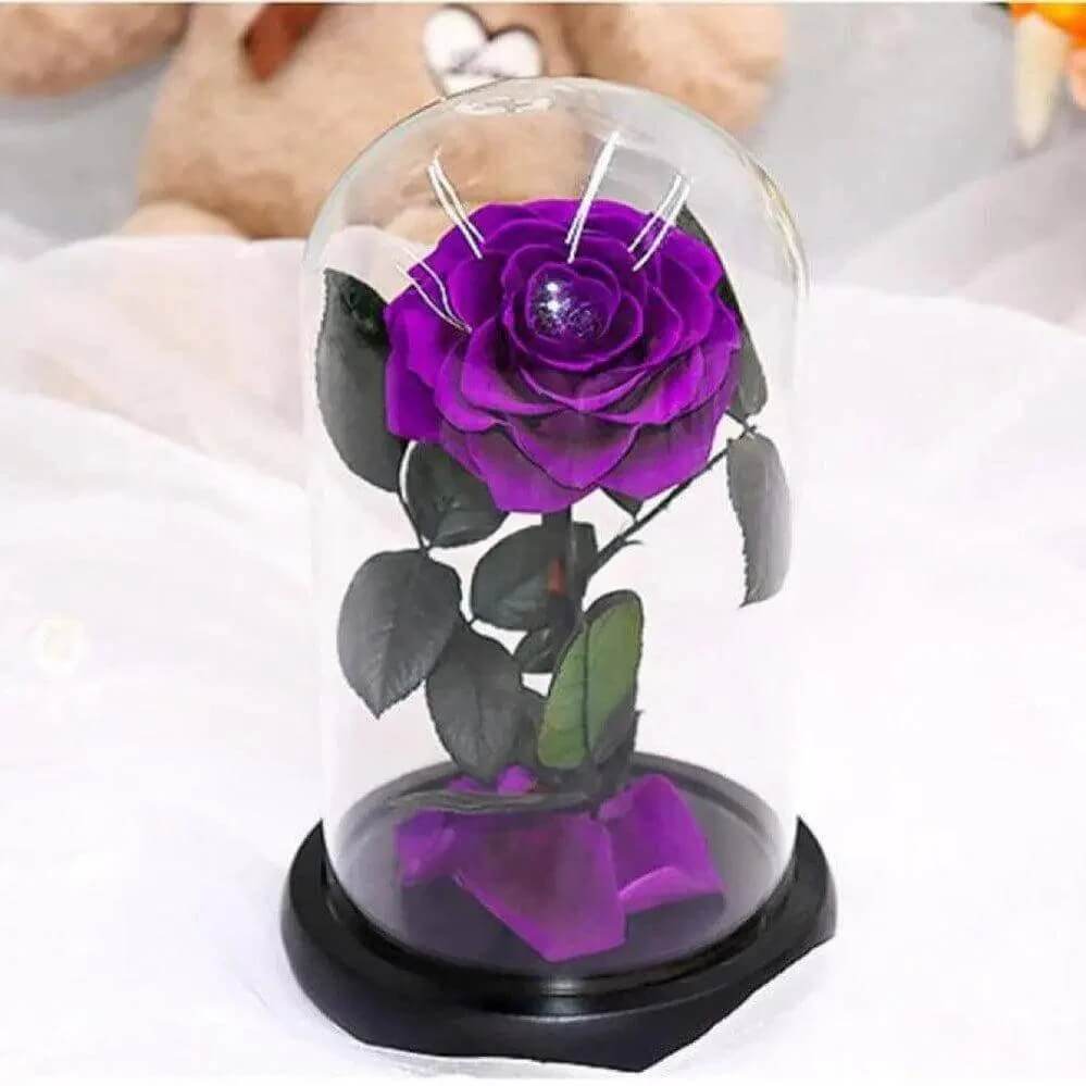 Trandafir Criogenat Bonita Purpuriu Diametru 9,5 cm în Cupolă Elegantă 15x25 cm - Trandafir - Criogenat.ro