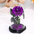 Trandafir Criogenat Bonita Purpuriu Diametru 9,5 cm în Cupolă Elegantă 15x25 cm - Trandafir - Criogenat.ro
