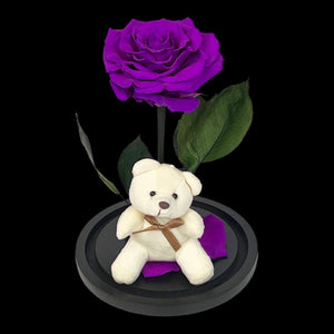 Trandafir Criogenat Bonita Purpuriu In Cupola De Sticla Cu Ursulet 15x25cm - Trandafir - Criogenat.ro