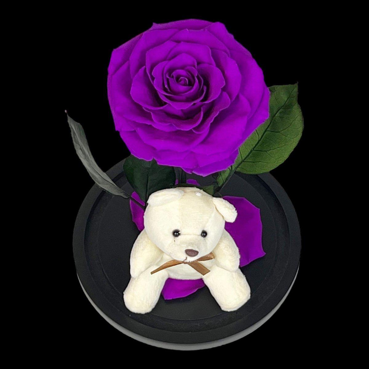 Trandafir Criogenat Bonita Purpuriu In Cupola De Sticla Cu Ursulet 15x25cm - Trandafir - Criogenat.ro