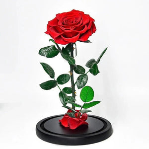 Trandafir Criogenat Bonita Rosu Cadou Eterna Dragoste Pana La 25 Ani Cupola - Trandafir - Criogenat.ro