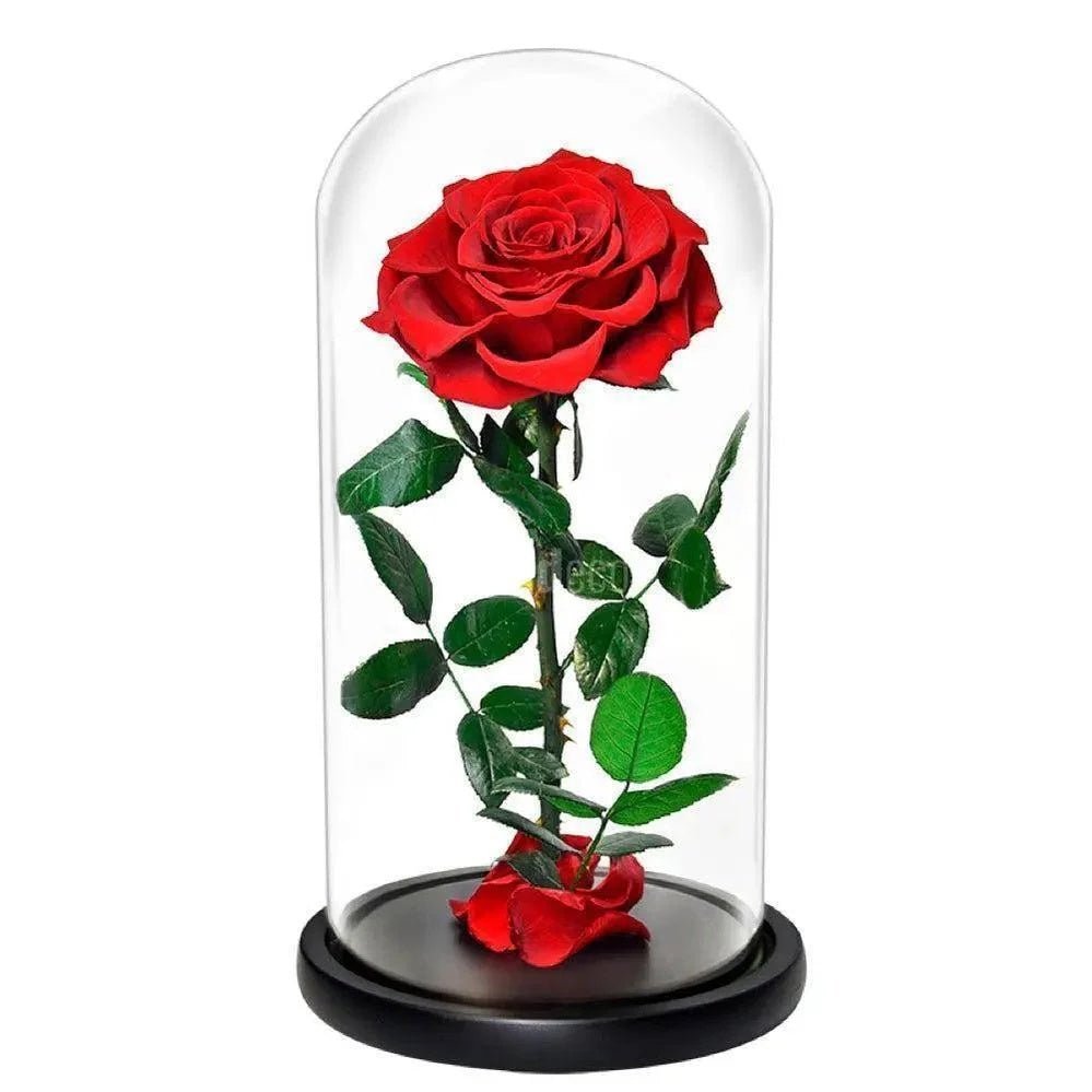 Trandafir Criogenat Bonita Rosu Cadou Eterna Dragoste Pana La 25 Ani Cupola - Trandafir - Criogenat.ro
