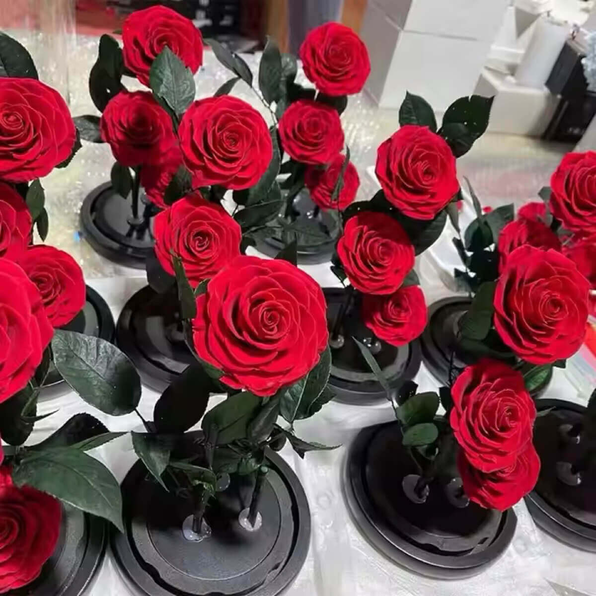 Trandafir Criogenat Bonita Roșu Cu Cupolă De Sticlă Și Mesaj Personalizat - Trandafir - Criogenat.ro