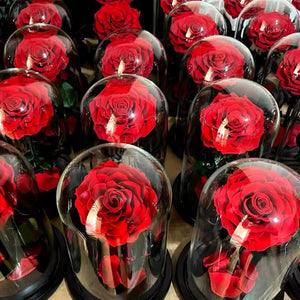 Trandafir Criogenat Bonita Roșu Cu Cupolă De Sticlă Și Mesaj Personalizat - Trandafir - Criogenat.ro