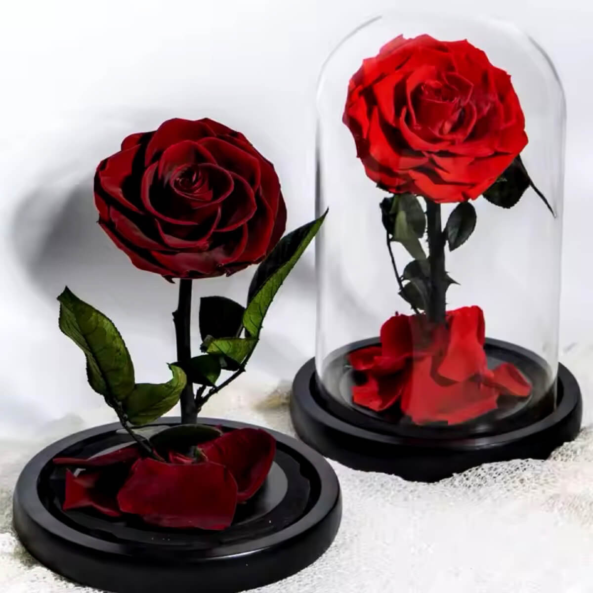 Trandafir Criogenat Bonita Roșu Cupolă de Sticlă Cadou Memorabil 12x25cm - Trandafir - Criogenat.ro