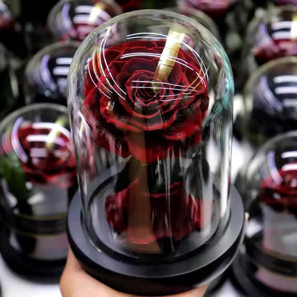 Trandafir Criogenat Bonita Roșu Cupolă de Sticlă Cadou Memorabil 12x25cm - Trandafir - Criogenat.ro