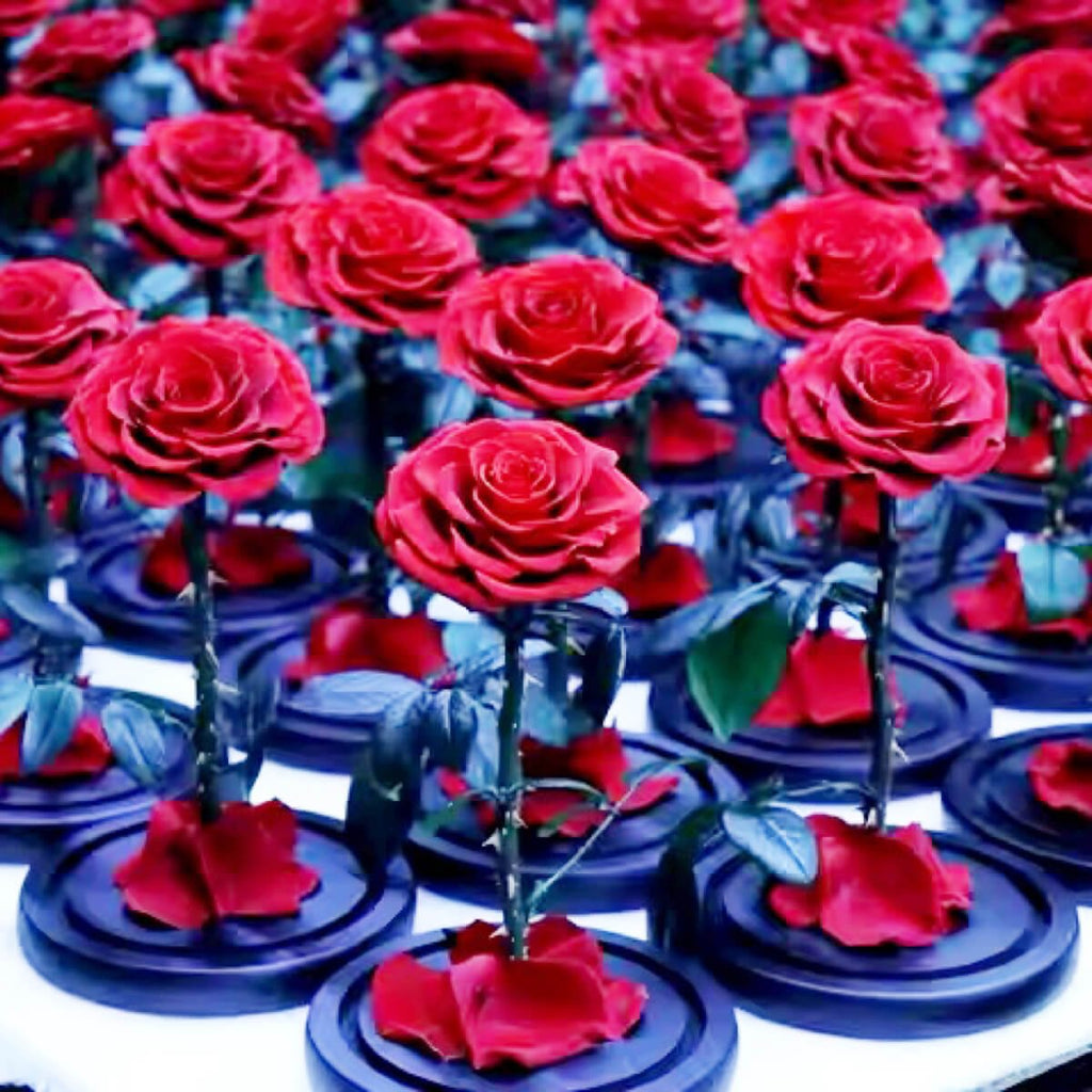 Trandafir Criogenat Bonita Roșu Cupolă Sticlă Mesaj Personalizat Diametru 9,5 Cm - Trandafir - Criogenat.ro
