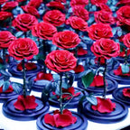 Trandafir Criogenat Bonita Roșu Cupolă Sticlă Mesaj Personalizat Diametru 9,5 Cm - Trandafir - Criogenat.ro