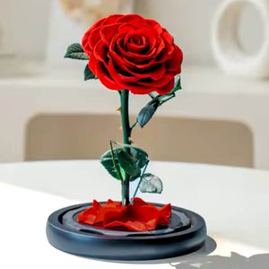 Trandafir Criogenat Bonita Roșu Cupolă Sticlă Mesaj Personalizat Diametru 9,5 Cm - Trandafir - Criogenat.ro