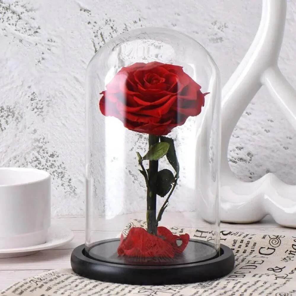 Trandafir Criogenat Bonita Roșu În Cupolă De Sticlă Cadou Unic 12x25cm - Trandafir - Criogenat.ro