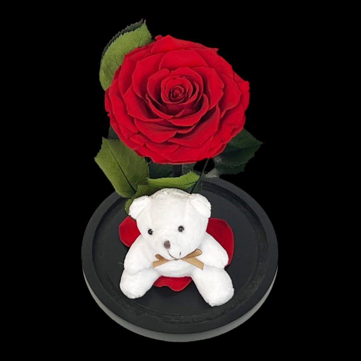 Trandafir Criogenat Bonita Rosu In Cupola Eleganta Cu Ursulet Plush Cadou Ideal - Trandafir - Criogenat.ro