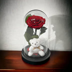 Trandafir Criogenat Bonita Rosu In Cupola Eleganta Cu Ursulet Plush Cadou Ideal - Trandafir - Criogenat.ro
