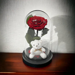 Trandafir Criogenat Bonita Rosu In Cupola Eleganta Cu Ursulet Plush Cadou Ideal - Trandafir - Criogenat.ro