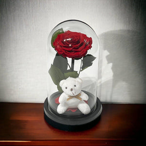 Trandafir Criogenat Bonita Rosu In Cupola Eleganta Cu Ursulet Plush Cadou Ideal - Trandafir - Criogenat.ro