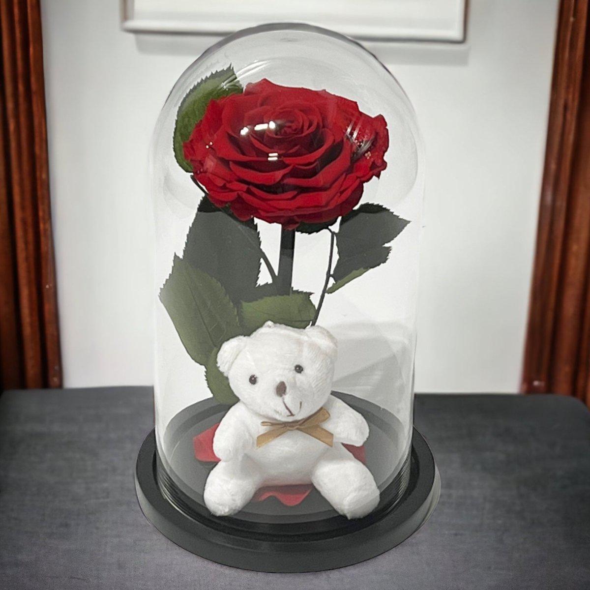 Trandafir Criogenat Bonita Rosu In Cupola Eleganta Cu Ursulet Plush Cadou Ideal - Trandafir - Criogenat.ro