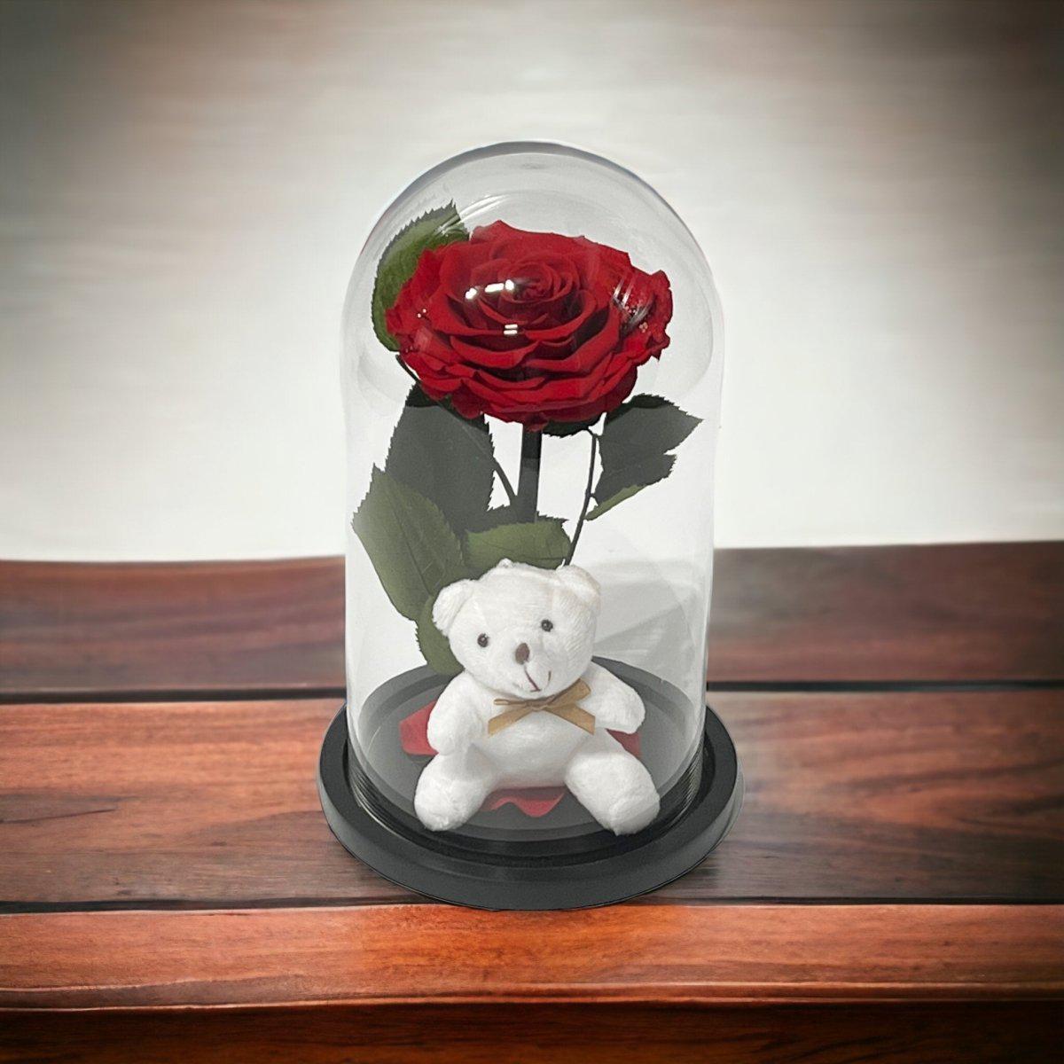 Trandafir Criogenat Bonita Rosu In Cupola Eleganta Cu Ursulet Plush Cadou Ideal - Trandafir - Criogenat.ro