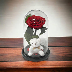 Trandafir Criogenat Bonita Rosu In Cupola Eleganta Cu Ursulet Plush Cadou Ideal - Trandafir - Criogenat.ro