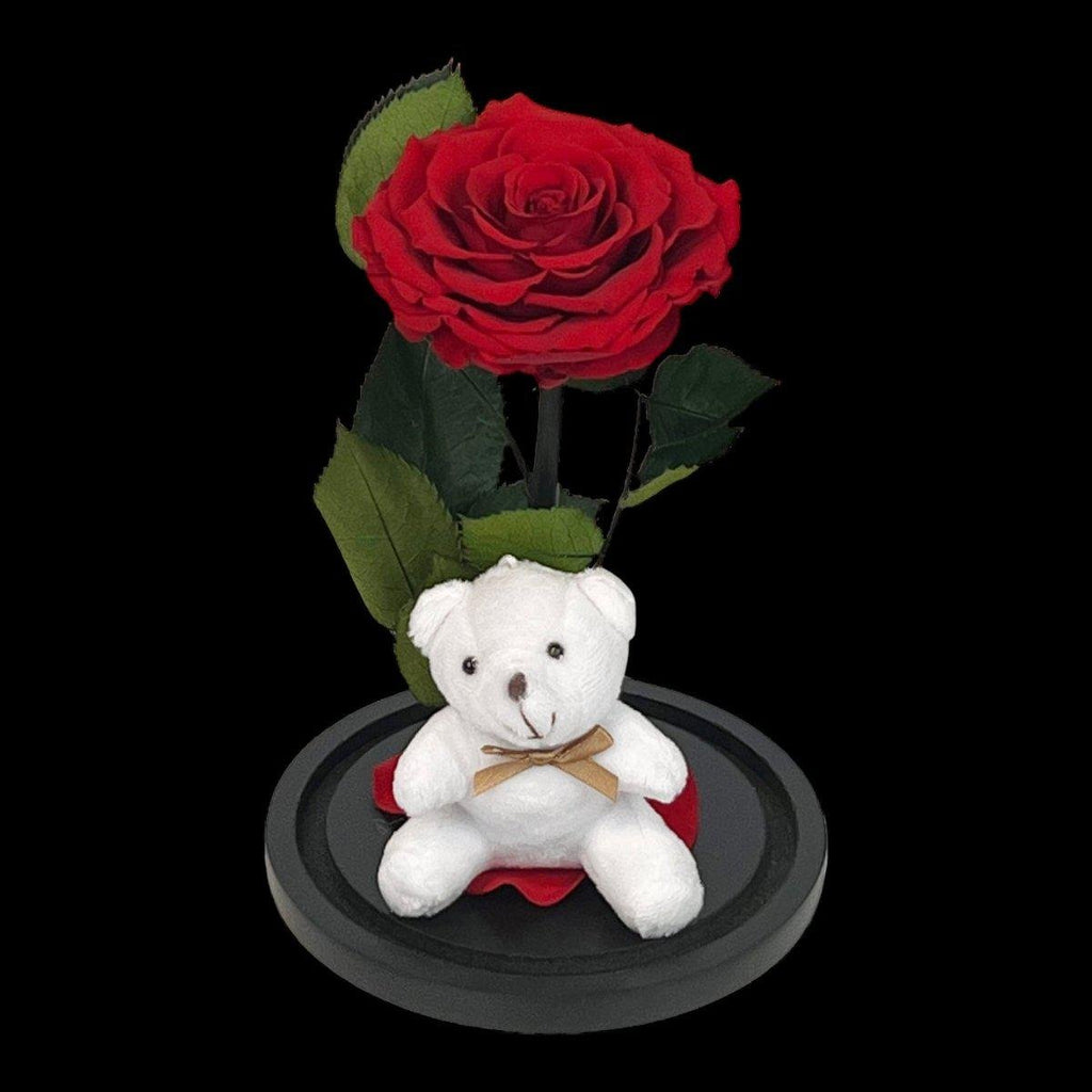 Trandafir Criogenat Bonita Rosu In Cupola Eleganta Cu Ursulet Plush Cadou Ideal - Trandafir - Criogenat.ro