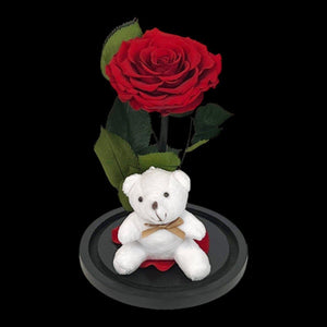 Trandafir Criogenat Bonita Rosu In Cupola Eleganta Cu Ursulet Plush Cadou Ideal - Trandafir - Criogenat.ro