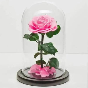 Trandafir Criogenat Bonita Roz În Cupolă De Sticlă Diametru 9,5 Cm Cadou Iubire - Trandafir - Criogenat.ro