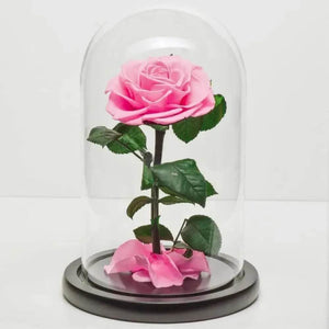 Trandafir Criogenat Bonita Roz În Cupolă De Sticlă Diametru 9,5 Cm Cadou Iubire - Trandafir - Criogenat.ro