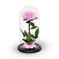 Trandafir Criogenat Bonita Roz în Cupolă Elegantă de Sticlă 15x25cm Cadou Ideal - Trandafir - Criogenat.ro