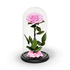Trandafir Criogenat Bonita Roz în Cupolă Elegantă de Sticlă 15x25cm Cadou Ideal - Trandafir - Criogenat.ro