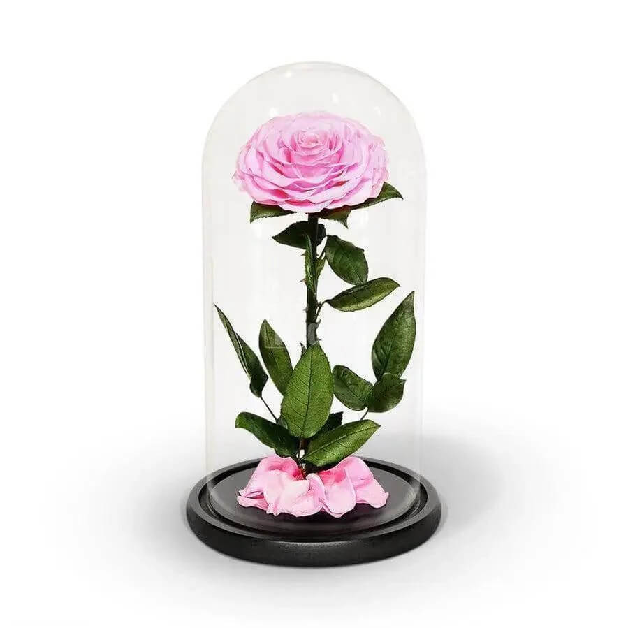 Trandafir Criogenat Bonita Roz în Cupolă Elegantă de Sticlă 15x25cm Cadou Ideal - Trandafir - Criogenat.ro