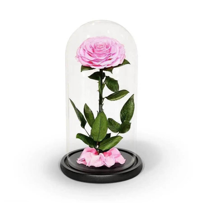 Trandafir Criogenat Bonita Roz în Cupolă Elegantă de Sticlă 15x25cm Cadou Ideal - Trandafir - Criogenat.ro