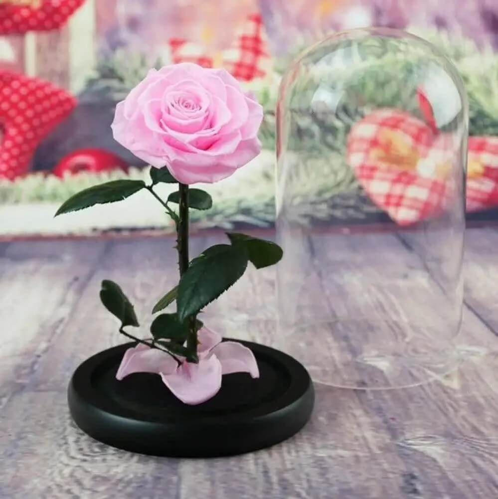 Trandafir Criogenat Bonita Roz În Cupolă Elegantă Iluminare LED Diametru 9,5 Cm - Trandafir - Criogenat.ro