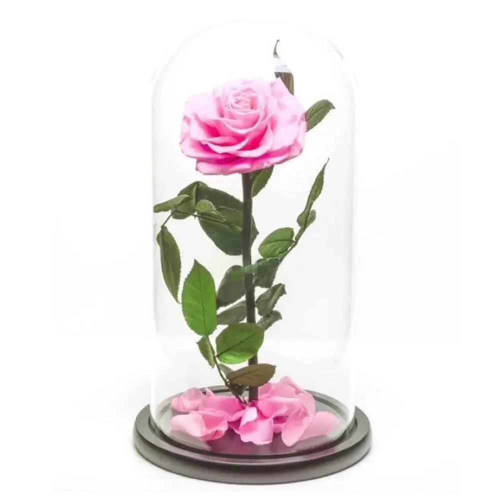Trandafir Criogenat Bonita Roz În Cupolă Elegantă Ø9,5cm Cadou Ideal Pentru Orice Ocazie - Trandafir - Criogenat.ro