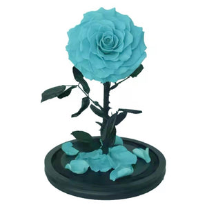Trandafir Criogenat Bonita Turcoaz Cupola De Sticla Cu Mesaj Personalizat - Trandafir - Criogenat.ro