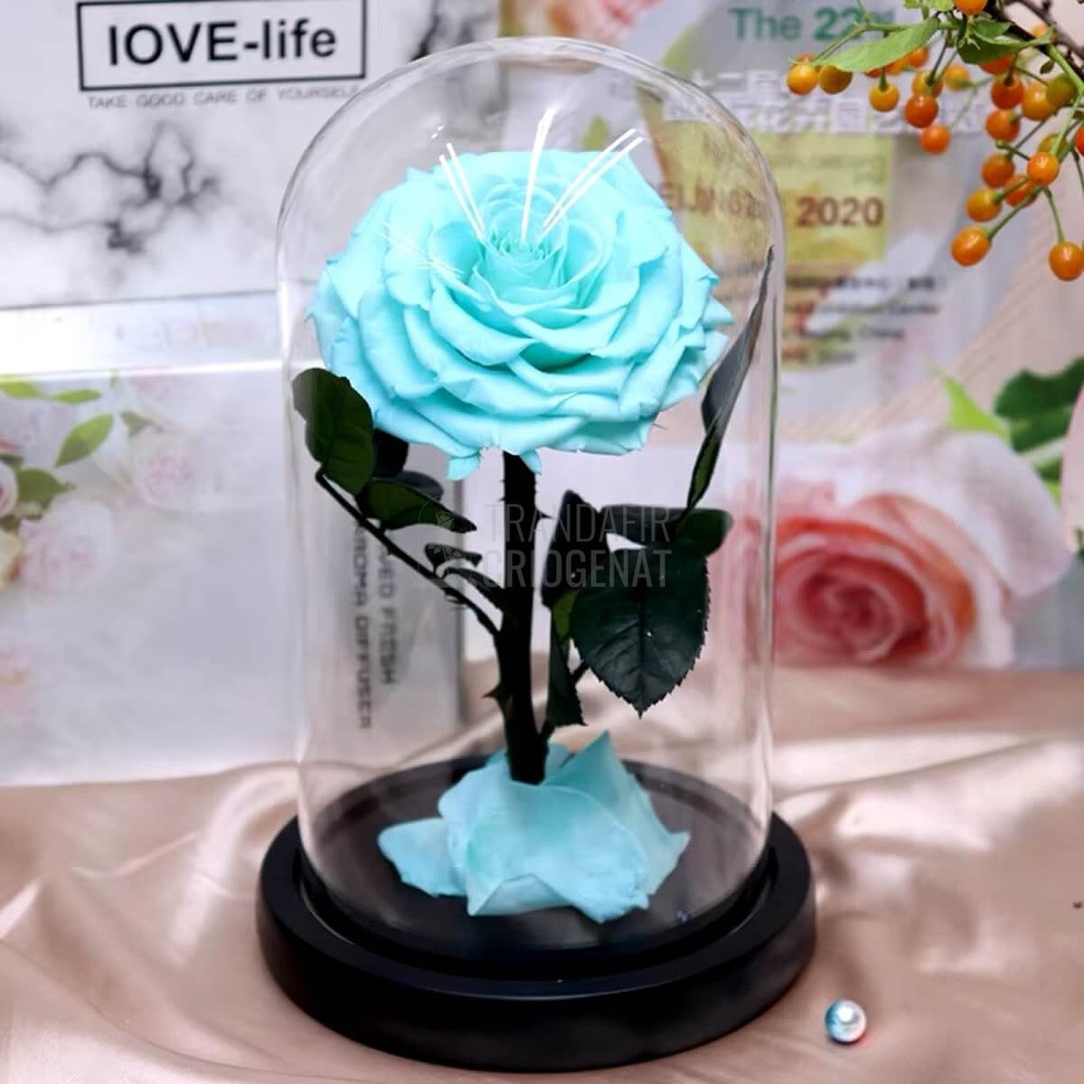 Trandafir Criogenat bonita turcoaz Ø9,5cm in cupola de sticla, cu mesaj - Trandafir - Criogenat.ro