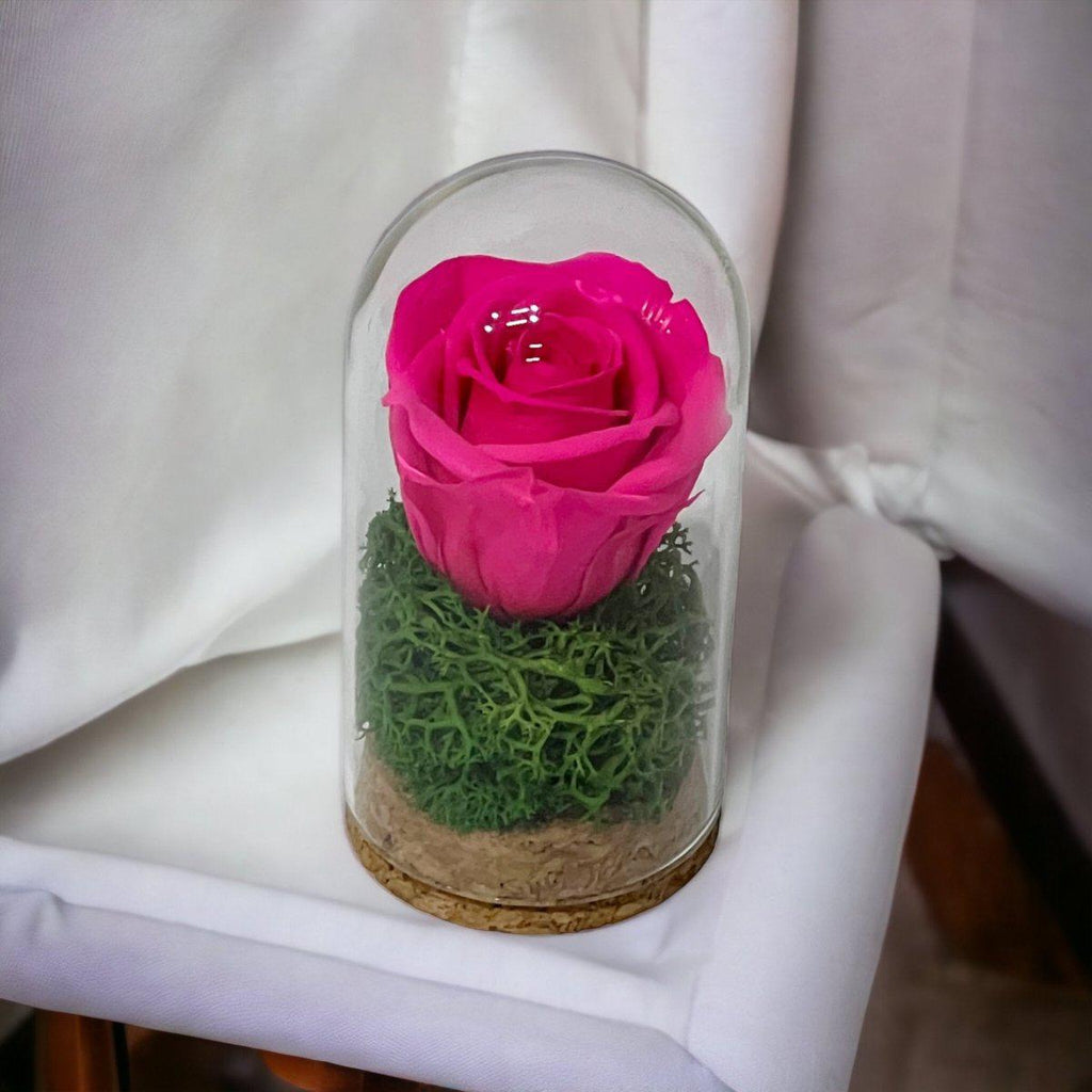 Trandafir Criogenat Ciclam în Cupolă de Sticlă Mică 5x9,5cm Mărturie Elegantă - Trandafir - Criogenat.ro