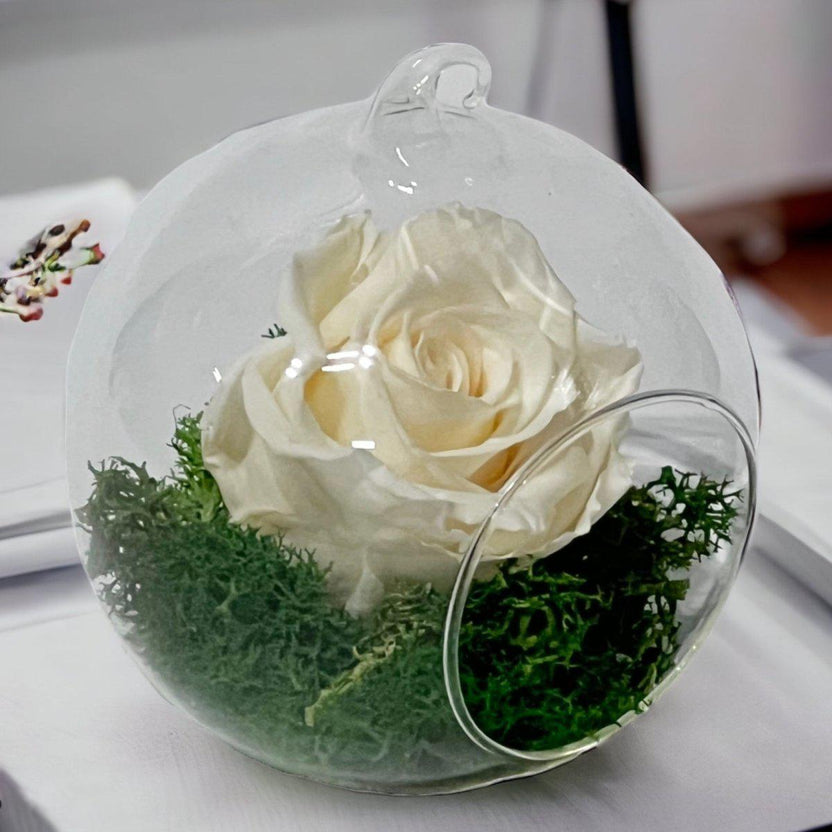 Trandafir Criogenat Crem În Glob De Sticlă Cu Diametru De 12cm Cadou Elegant - Trandafir - Criogenat.ro