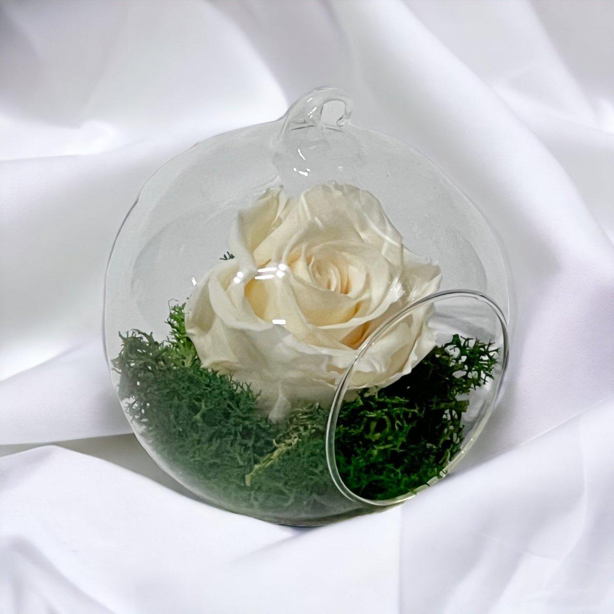 Trandafir Criogenat Crem În Glob De Sticlă Cu Diametru De 12cm Cadou Elegant - Trandafir - Criogenat.ro