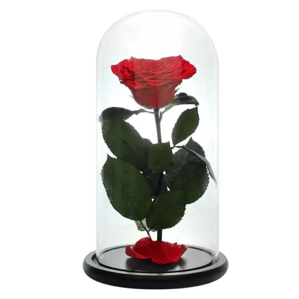 Trandafir Criogenat Cu Inimă Roșie În Cupolă De Sticlă Cadou Elegant 9 Cm - Trandafir - Criogenat.ro