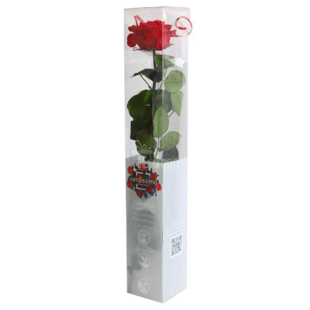 Trandafir Criogenat de Lux Roșu Cadou Elegant cu Ambalaj Premium pentru Iubire - Trandafir - Criogenat.ro