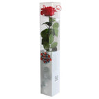 Trandafir Criogenat de Lux Roșu Cadou Elegant cu Ambalaj Premium pentru Iubire - Trandafir - Criogenat.ro