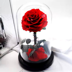 Trandafir Criogenat Elegant Bella Roșu Sub Cupolă de Sticlă Cadou Perfect - Trandafir - Criogenat.ro