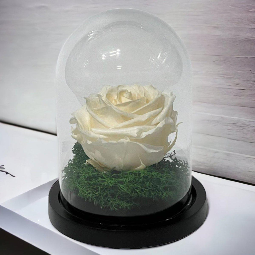 Trandafir Criogenat Elegant Cupolă De Sticlă Floare Nemuritoare Cadou Pentru Ea - Trandafir - Criogenat.ro