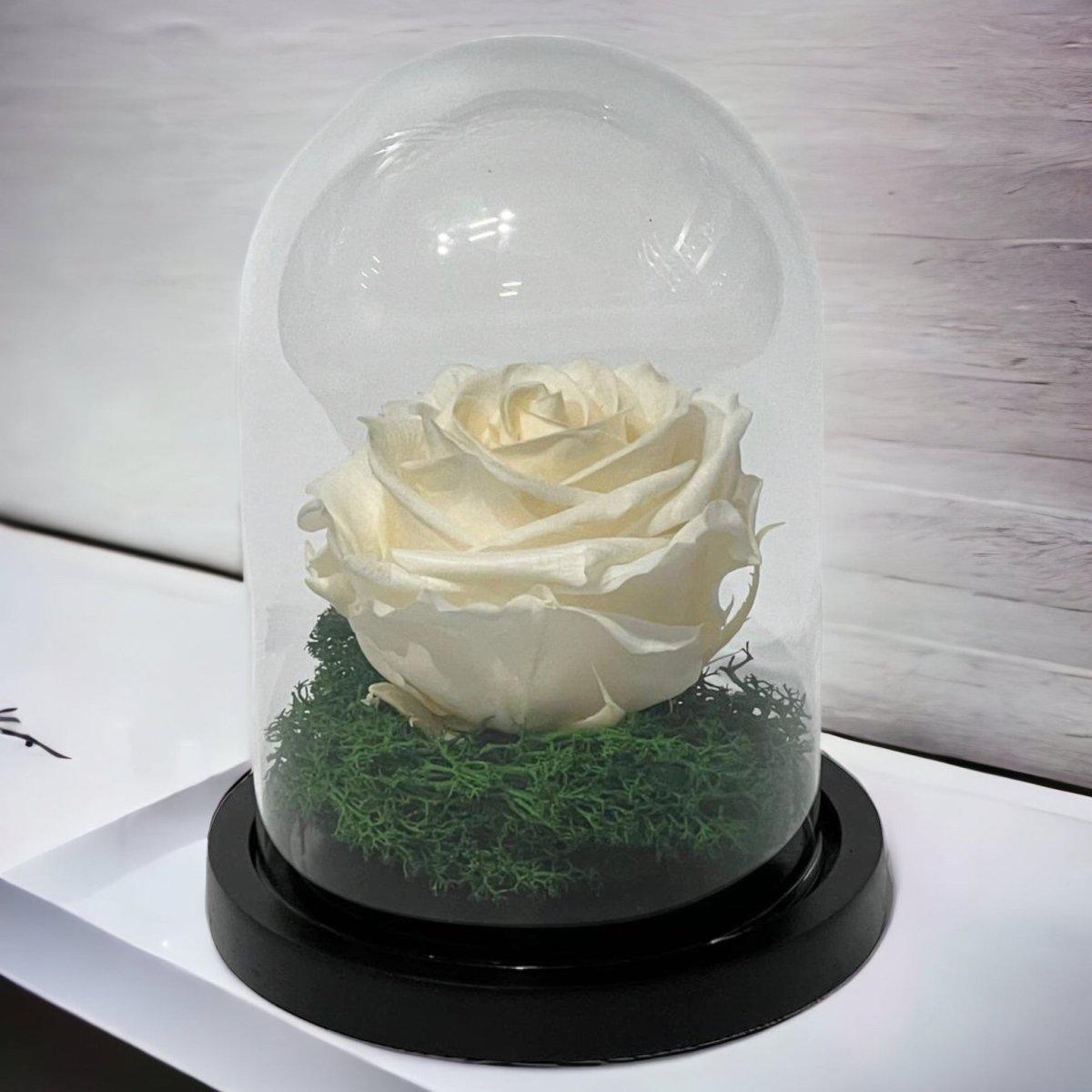 Trandafir Criogenat Elegant Cupolă De Sticlă Floare Nemuritoare Cadou Pentru Ea - Trandafir - Criogenat.ro