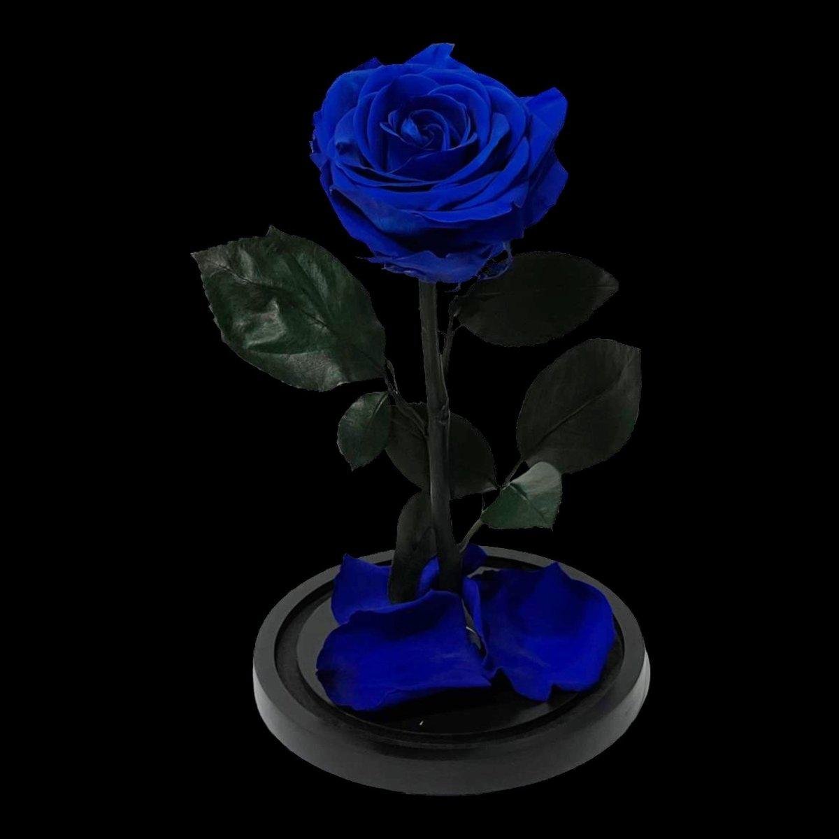 Trandafir Criogenat Etern Albastru Premium În Cupolă De Sticlă 8 Cm Cadou - Trandafir - Criogenat.ro